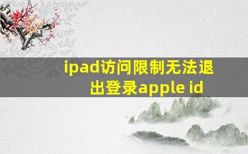 ipad访问限制无法退出登录apple id